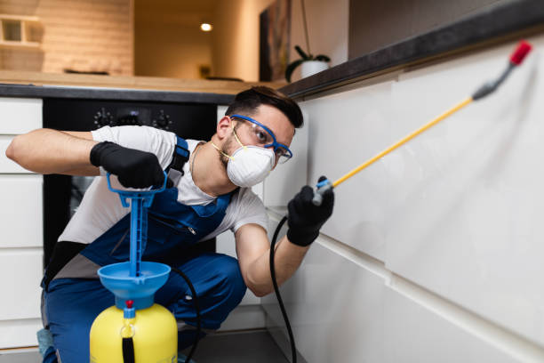 Best Flea Control Services  in Grant, MN