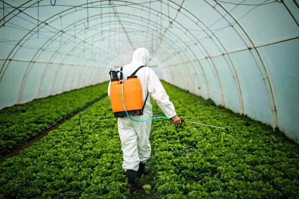 Best Affordable Pest Control Services  in Grant, MN