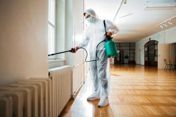 Best Wasp Removal Services  in Grant, MN