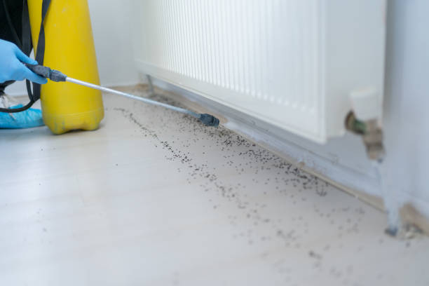 Best Commercial Pest Control Services  in Grant, MN