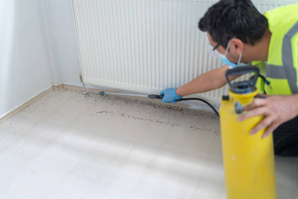 Best Termite Control Services  in Grant, MN