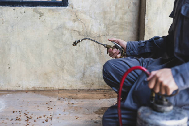 Best Exterminator Services  in Grant, MN