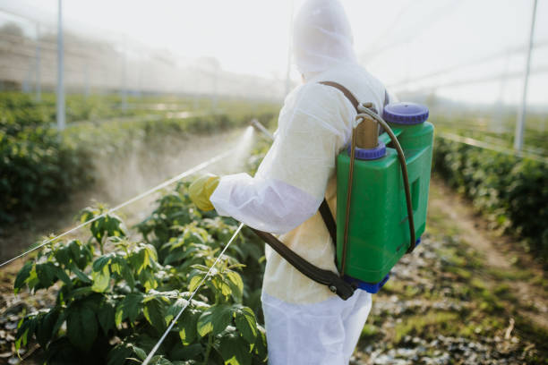 Best Bed Bug Extermination  in Grant, MN